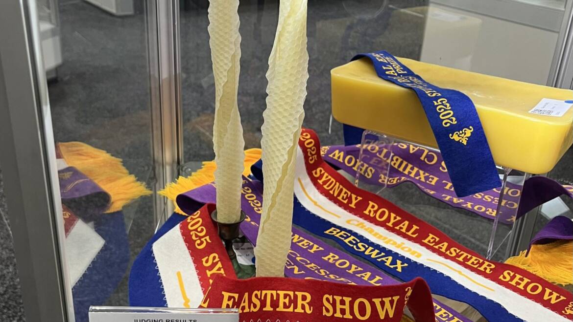 Champion Candle and Most Successful Exhibitor at the Royal Easter Show 2025